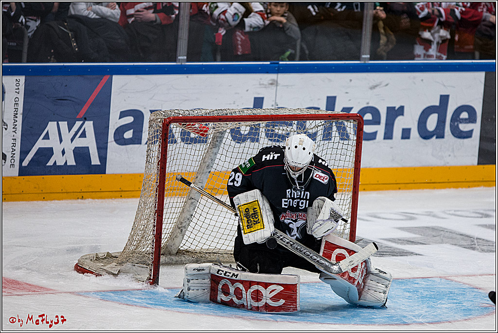 DEL, Koelner Haie - Adler Mannheim, 05.02.2017